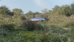 Big discovery: A UfO (OVNI) appeared and visited a farmer’s farm near the edge of a forest in france (Video). In this video, a farmer captured the extraordinary image of a UfO (OVNI) hovering near his farm. the unidentified object exhibits strange movements and lights, surprising onlookers and sparking speculation about its origin and purpose. #UfOsighting #ExtraterrestrialMystery #farmersEncounter #Unexplained phenomenon