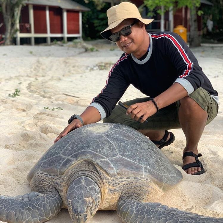 La protección de una majestuosa tortuga gigante de 350 libras debajo de un paseo marítimo de Florida muestra la encantadora vida silvestre a lo largo de la costa. ‎