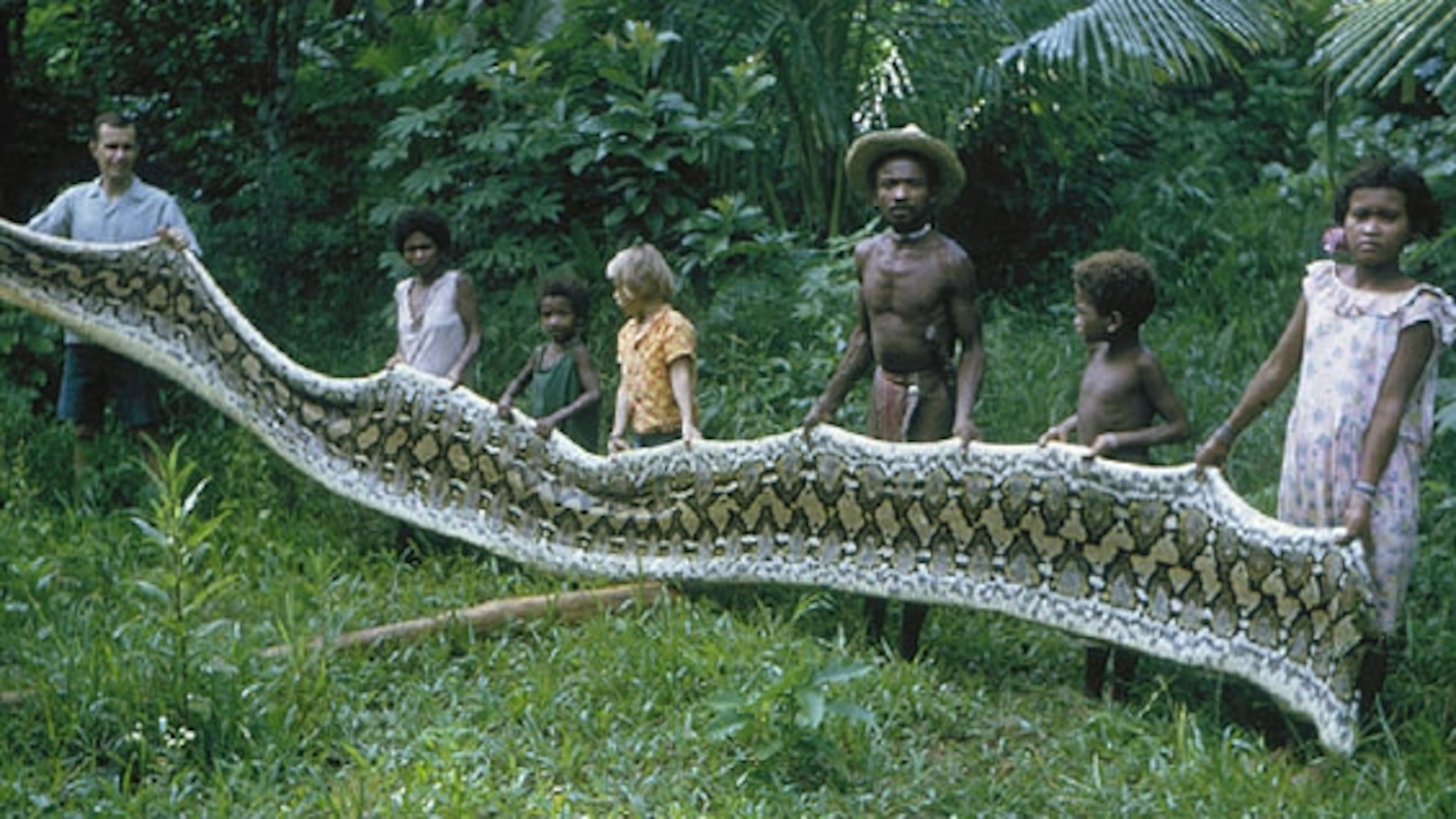 Descubra los Agta, una tribu única en la que uno de cada cuatro hombres ha sobrevivido a los ataques de serpientes gigantes.