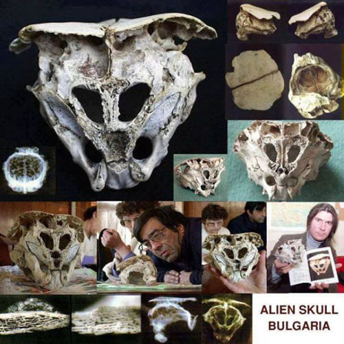 A remarkable discovery has shocked the scientific community: Mount Rhodope recently presented evidence that may be related to the cover-up of alien matter UfO(OVNI). was found in this area, and it is surprising that scientists think this is evidence of the existence of aliens. to discover the origin and power of this mysterious skull, could this be a sign of communication between us and an alien civilization or just a strange coincidence?